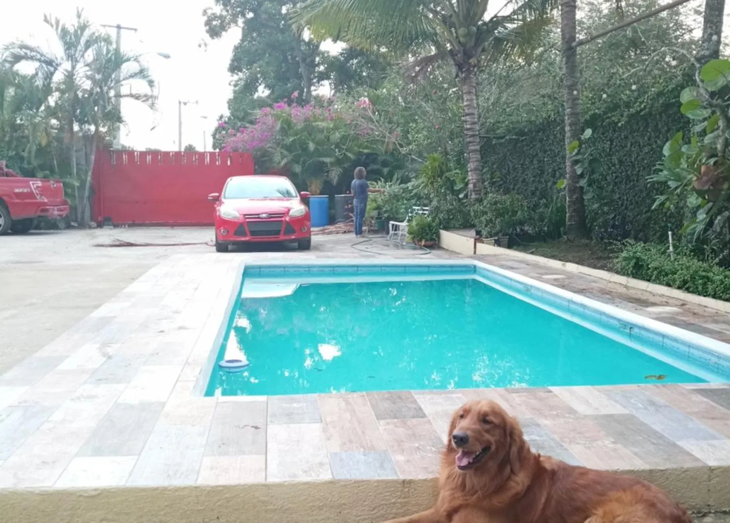Paraiso Hortensia Honeymoon Suite Santiago De Los Caballeros Bed & Breakfast