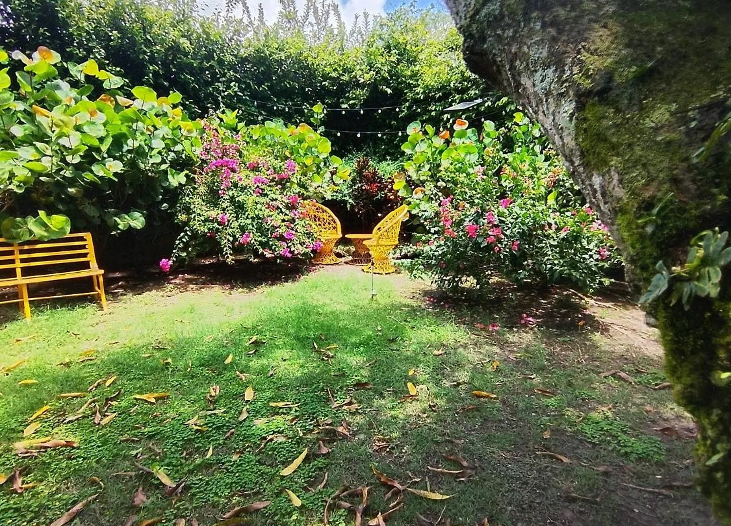 Paraiso Hortensia Honeymoon Suite Santiago De Los Caballeros