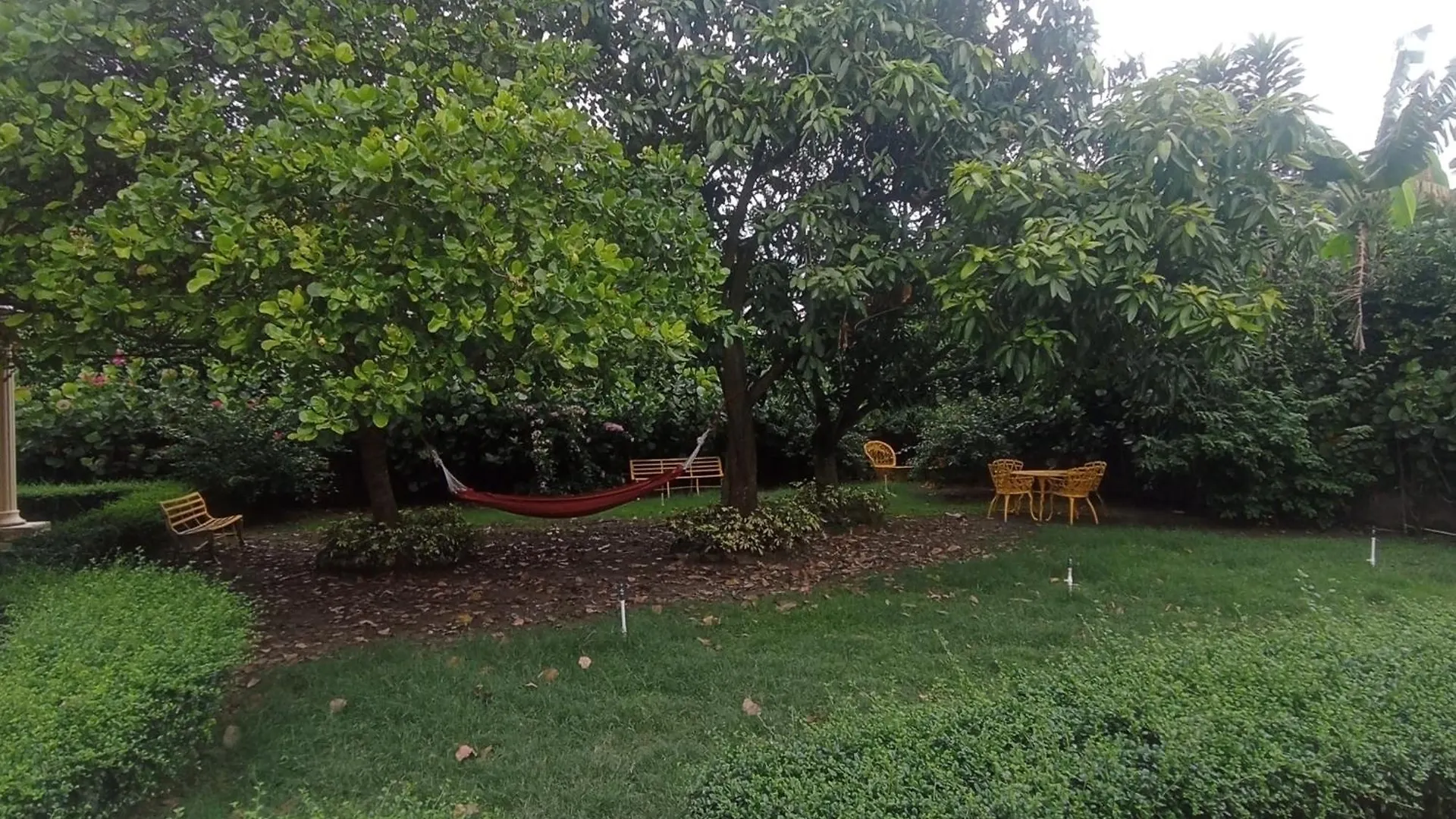 Bed & Breakfast Paraiso Hortensia Honeymoon Suite Santiago De Los Caballeros Repubblica Dominicana